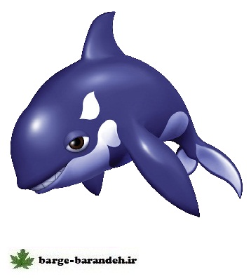 سال نهنگ / برگ برنده